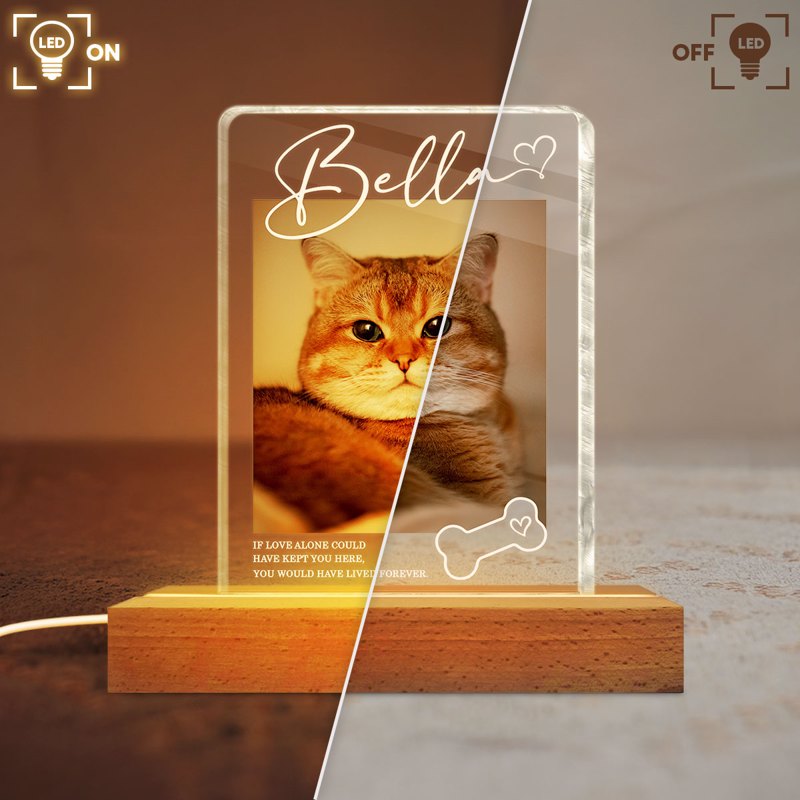 If Love Alone Could Have Kept You Here - Personalized Pet Loss Memorial Acrylic Block LED Night Light