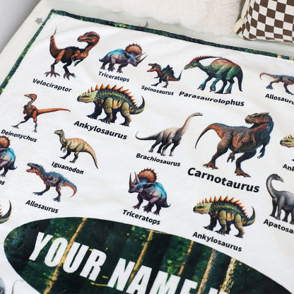 Personalized Dinosaur Adventure Blanket - Customize Your Name
