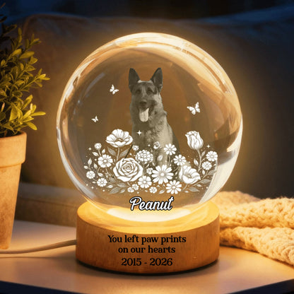 Custom Pet Portrait Crystal Ball LED Night Light - Personalized Memorial Gift for Pet Lovers