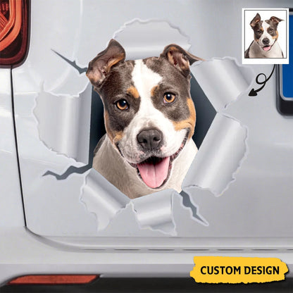 Paws Bursting Through – Personalized 3D Pet Car Decal, Custom Breakthrough Sticker or Magnet