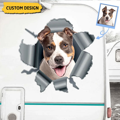 Paws Bursting Through – Personalized 3D Pet Car Decal, Custom Breakthrough Sticker or Magnet