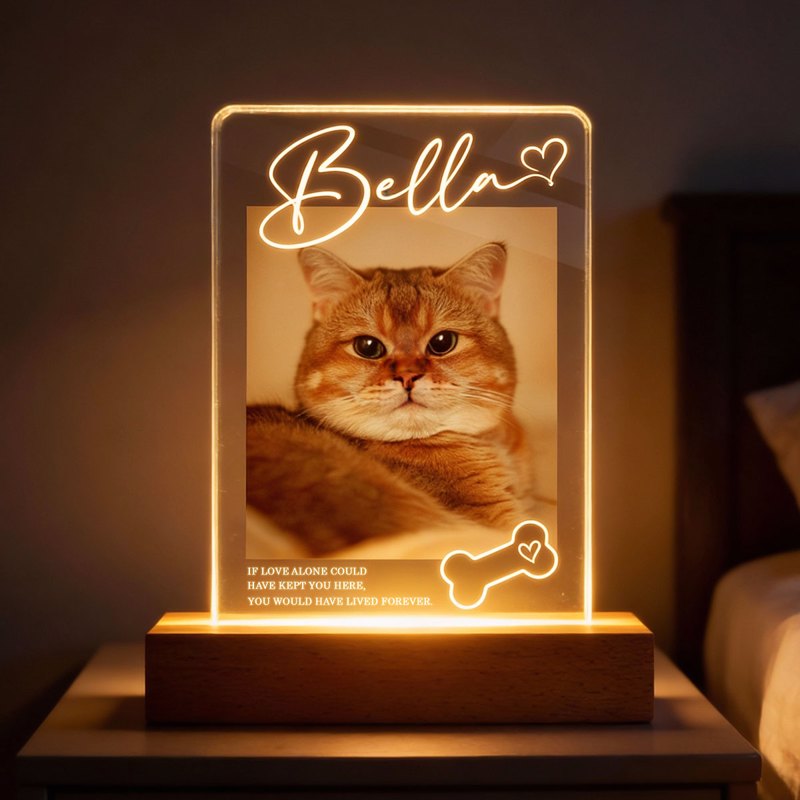 If Love Alone Could Have Kept You Here - Personalized Pet Loss Memorial Acrylic Block LED Night Light