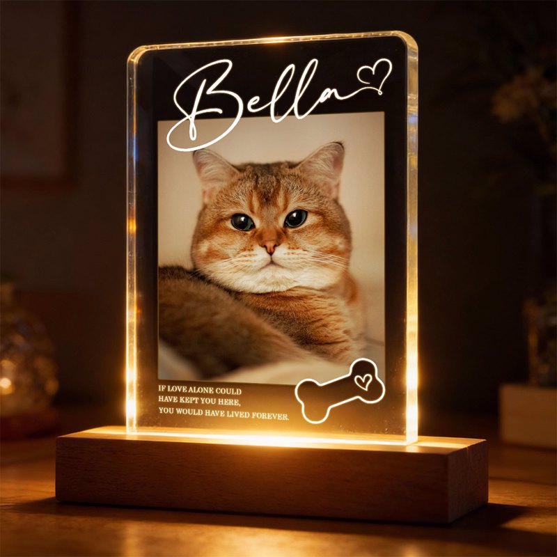 If Love Alone Could Have Kept You Here - Personalized Pet Loss Memorial Acrylic Block LED Night Light