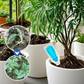 🔥Köp 5 Få 5 GRATIS💥Multi-Plant Liquid Reviver