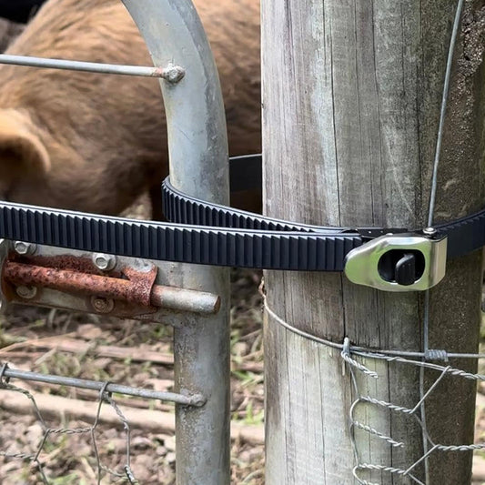 Ultimate Secure Locking Fastening Strap